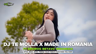 Download lagu DJ TE MOLLA X MADE IN ROMANIA - FT BREWOG BETAVO INDONESIA YALI YALI STYLE PARTY | ELIO PROJECT mp3