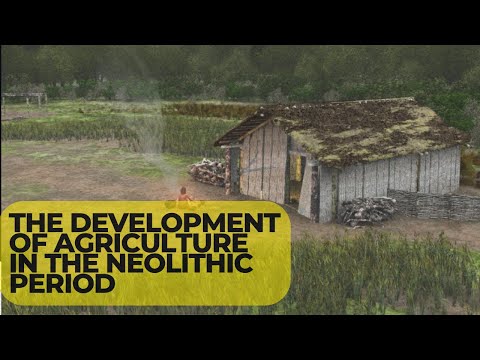 The development of agriculture in the Neolithic period || The Neolithic Revolution