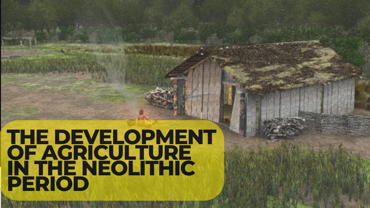 Neolithic visual data 5