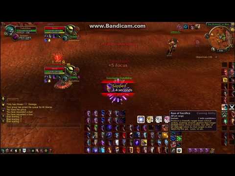 Tauri WoW Duel: Marksmanship Hunter vs Windwalker Monk