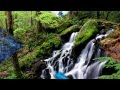 El Condor Pasa Paul Mauriat