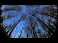 Anathema Dreaming Light [HD] INCREDIBLE ...