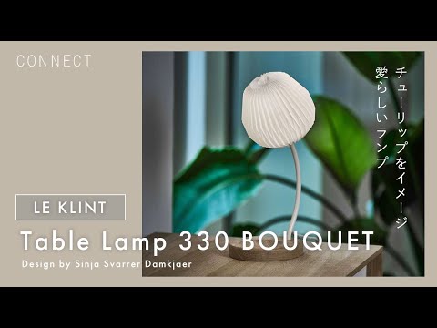 インパチェンス ワレリアナ ヒューケラ バケット 亜鉛 バルコニー シェード