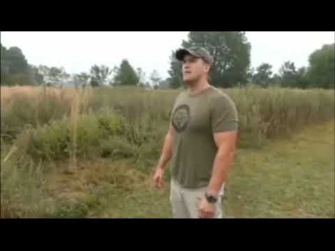 Dinosaur Trap - Repost of a meme i found