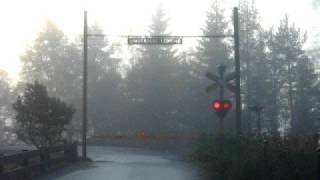 preview picture of video '[SJ/Västtrafik] regional train runs on a foggy morning from Borås to Göteborg...'