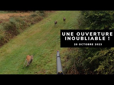 CERVIDÉS ET SANGLIERS EN BATTUE - UNE OUVERTURE INOUBLIABLE !