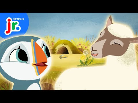 Oona and Baba's Little Lamb Rescue! 🐑 Puffin Rock | Netflix Jr