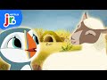 Oona And Baba S Little Lamb Rescue Puffin Rock Netflix Jr