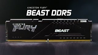 Kingston FURY 8 GB DDR5 6000 MHz Beast Black (KF560C40BB-8) - відео 1