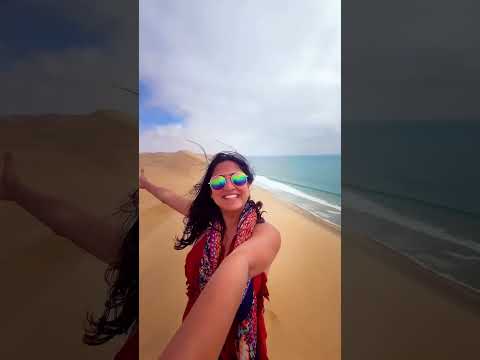 Only Place in the World where Sand Dunes meet the Ocean! 🌊 #explorenamibia #namibia #sandwichharbour