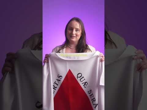 BANDEIRA DE MINAS GERAIS