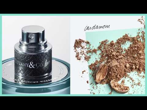 Tiffany & Love Him EDT