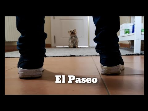 El Paseo -  Diego Landaluce