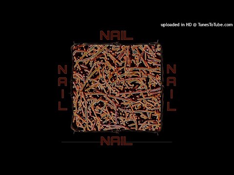 GUROTICA X LEPRO$Y - NAIL [PROD. DEADASSISAAC]