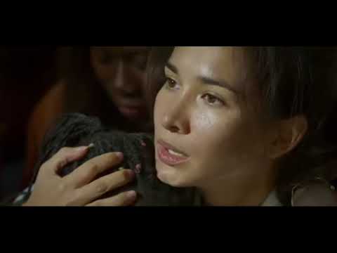 Wolf Warrior 2 | Missile Scene | Vertical Launch System