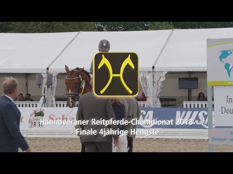Hannoveraner Championships of riding horses 2018 - Four-year-old stallions