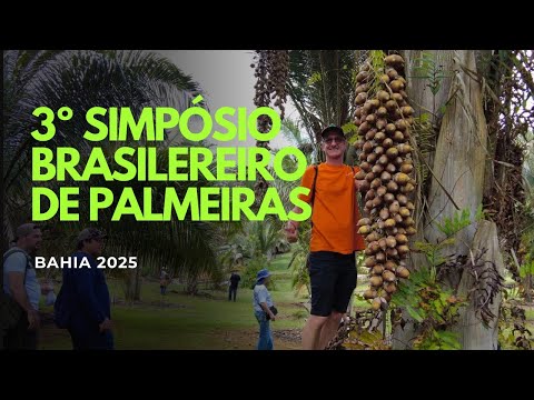 3º Simpósio Brasileiro de Palmeiras | Bahia 2025