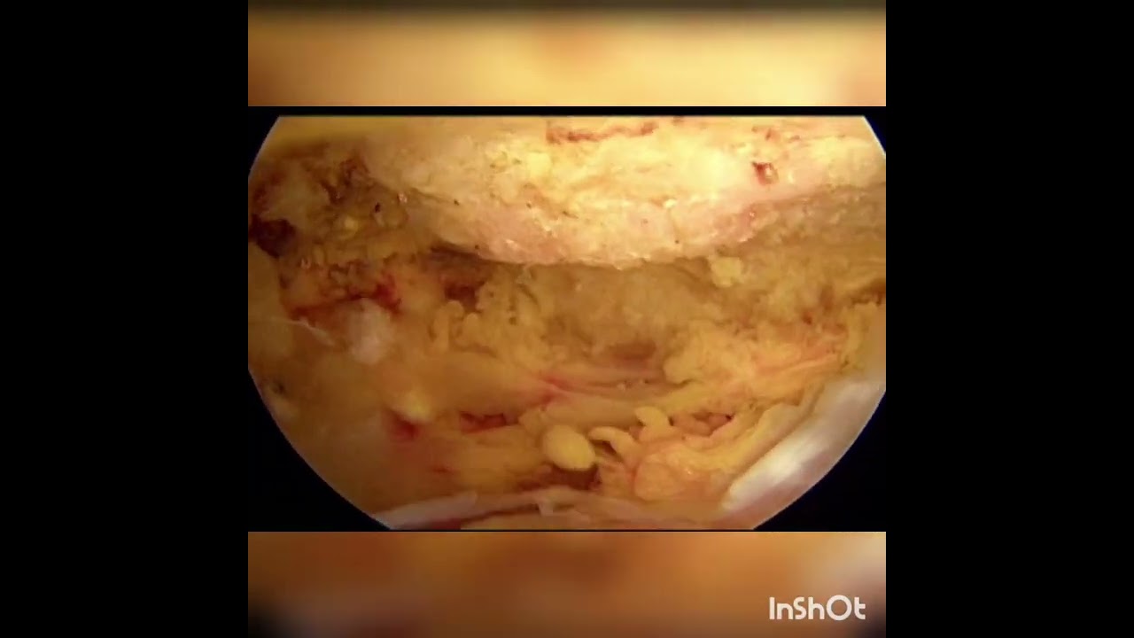 Jorge Luis Córdova Fonseca-9