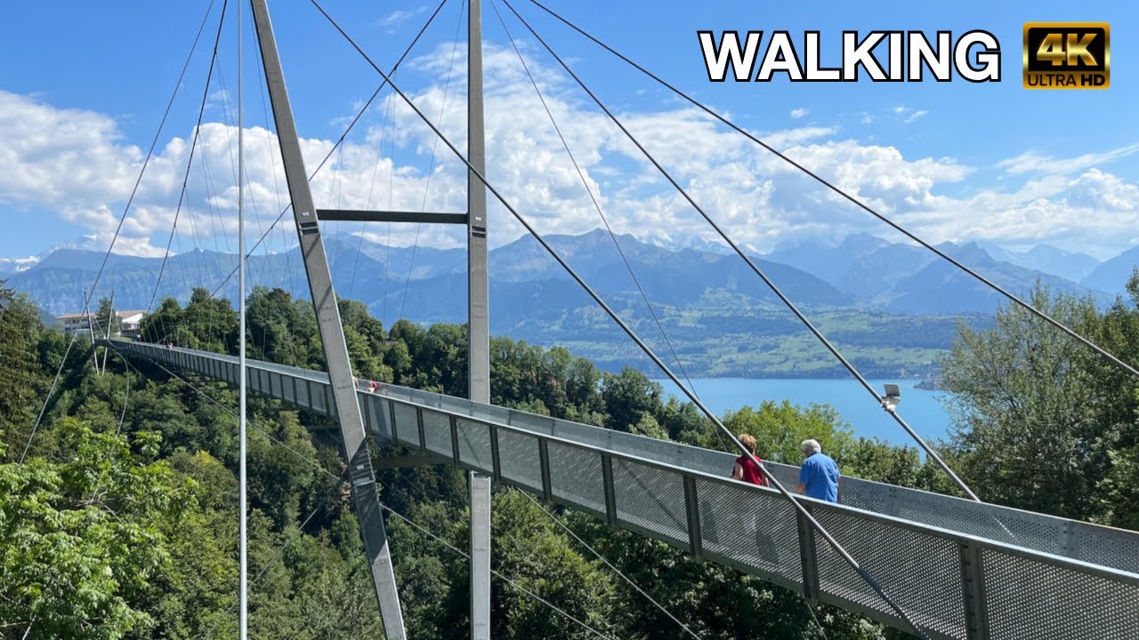 Embark on a virtual exploration of the Sigriswil Panoramic Bridge.