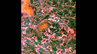 Marika Hackman - Itchy Teeth