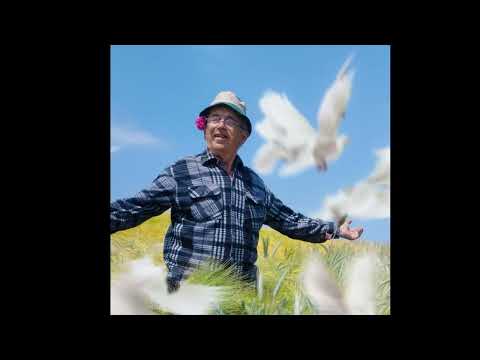 Paun Ilić - Salka pom - 2025