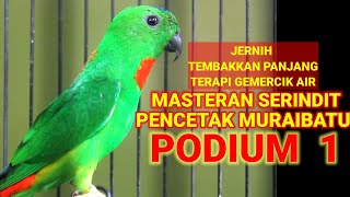 Download lagu 🔴 Masteran Serindit Tembakkan Panjang Untuk muraibatu jawara ‼ mp3