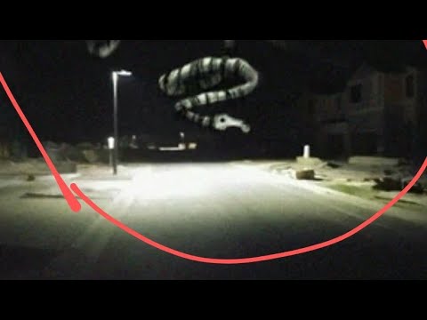 0 Как выглядит красная долговязая лошадь