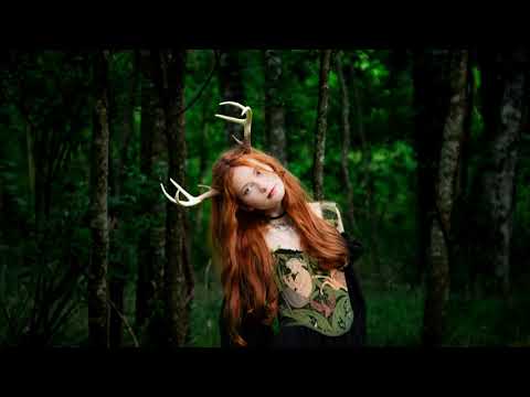 Dark Erl King - Lyric Video