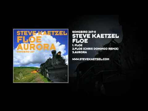 Steve Kaetzel - Floe