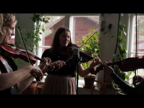 Beata Bermuda – Höök-Olles storpolska