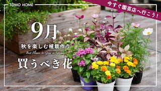 [Ready to use!] Autumn flowers and autumn-colored leaves you can plant right away [Recommended va...