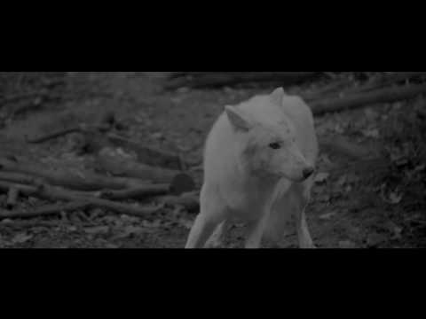 MYNTH - URGE (feat. C-Black) [official video]