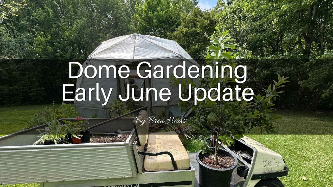 Early June Dome Gardening