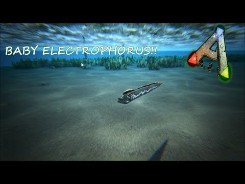 ARK Survival Evolved Criando al "ELECTROPHORUS"