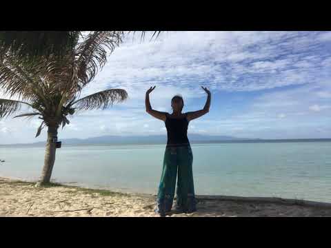 18 Tai Chi Qigong Shibashi Set 1 with Karen