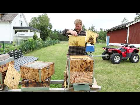 Flytta ner spärrgaller