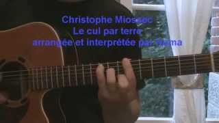 Le cul par terre (Christophe Miossec) Guitare reprise   Acoustic cover 1995