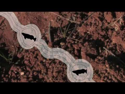 Bush Tucker Garden - Bullawah Cultural Trail