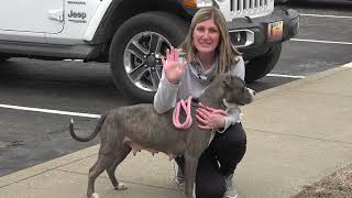 Animal Shelter Volunteer Orientation
