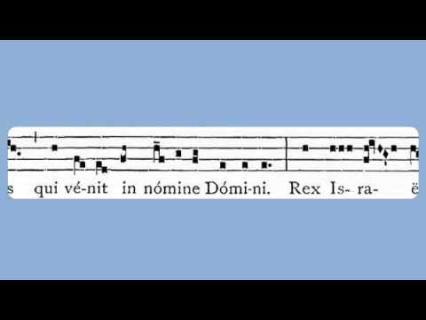 Hosanna Filio David (Palm Sunday, Antiphon)
