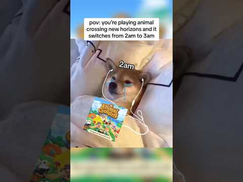 nothing says “it’s time for bed” more than the 3am music 😵‍💫 #acnh #animalcrossing