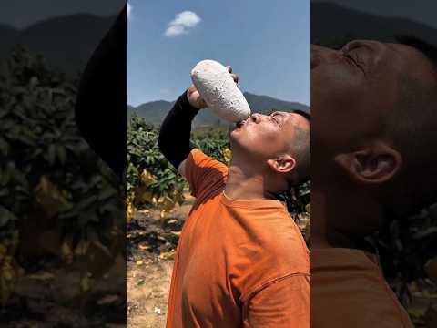 Dad ate a poisonous mango 🥭llCarriage House wooden artist ll #cartoon #shortvideoshortvideo