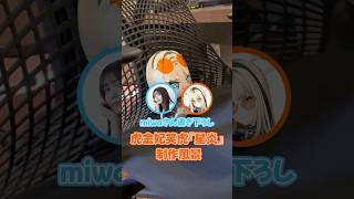 借りてきたヌコになっているニコ　#虎のいる生活
