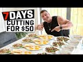 HOW TO CUT WITH ONLY $50 A WEEK!