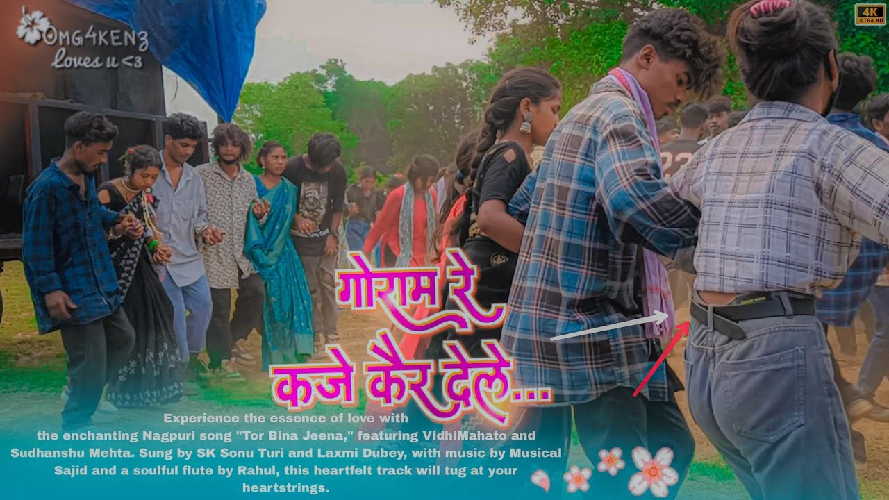 Goiram Re Kaje Kair Dele Old is Gold Nagpuri Song // भरी दाब दबा नागपुरी डांस वीडियो 2024 / Baijnath