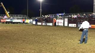 Blue Army Bull Bash in Waterloo, IL - Sept. 21, 2019
