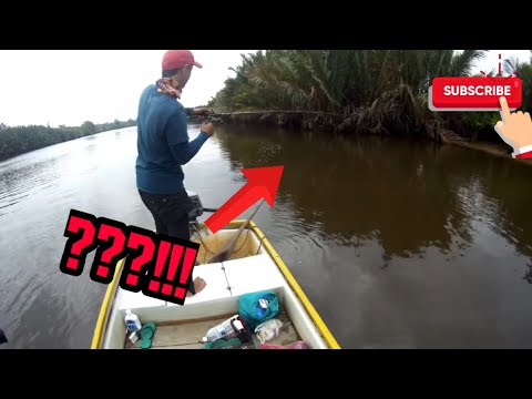 Episod 14:  Casting Siakap Merah, Sungai Suai