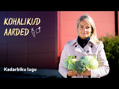 🥕 Kohalikud aarded | Kadarbiku lugu