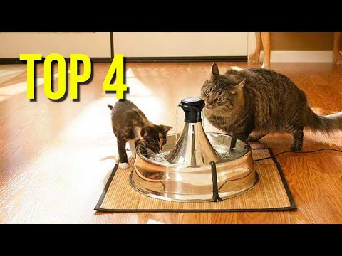 TOP 4 : Best Cat Water Fountain 2022