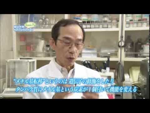 生命科学先端研究センター 五味知治 准教授 (生化学)【Tom's TV 2013】